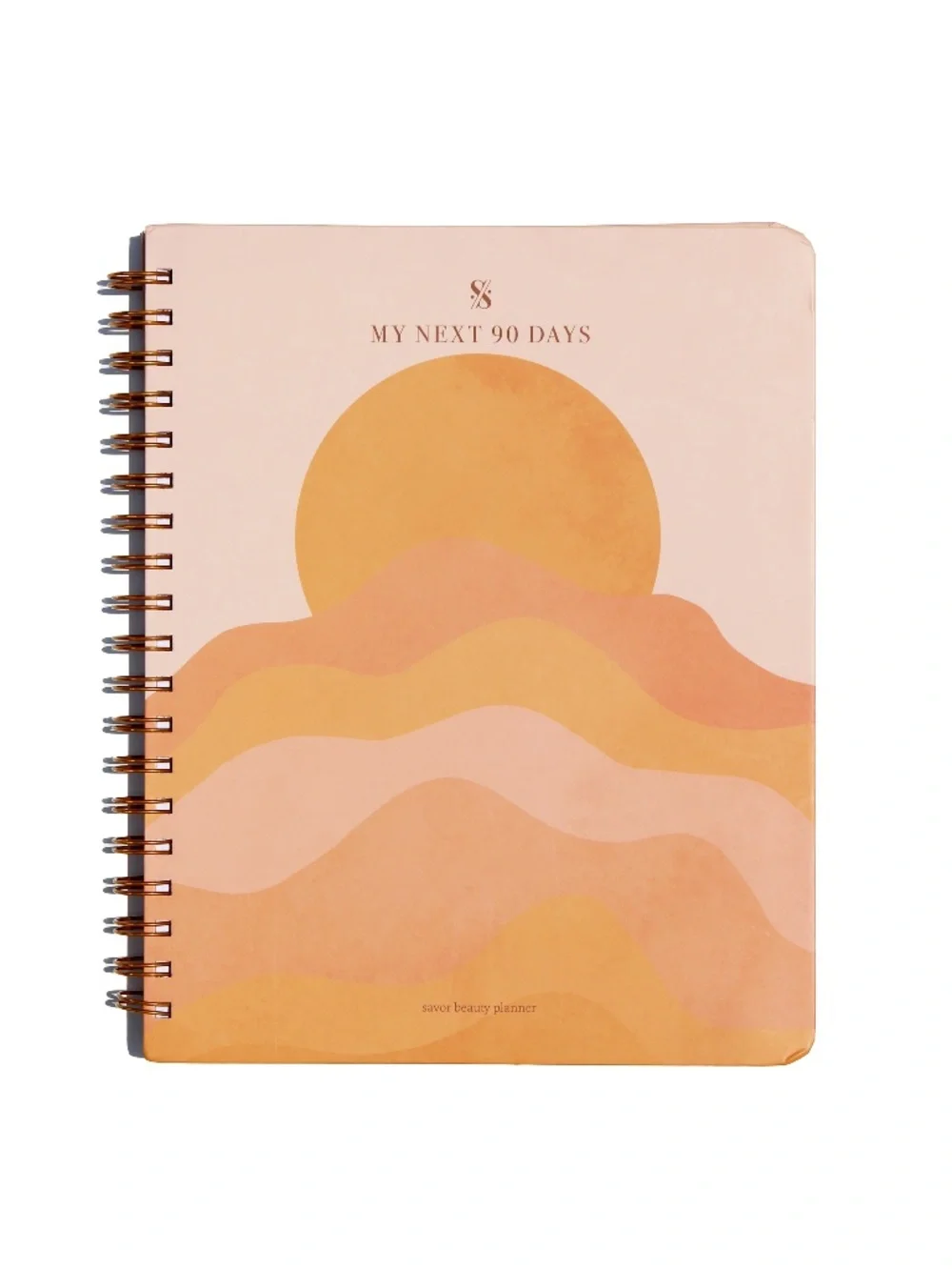 NEW discontinued Savor Beauty Planner; undated 90 day planner